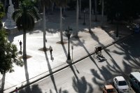 Morning Shadows, Havana