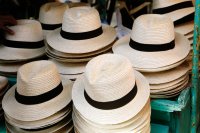 Straw trilby hats