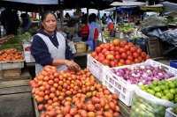 Sangolqui market