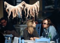 Close encounter, Aegina