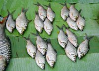 Market Luang Prabang