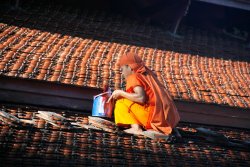 Monk, Luang Prabang
