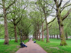 Green Park