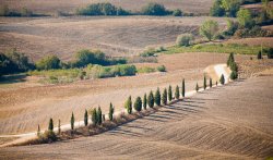 Montepulciano